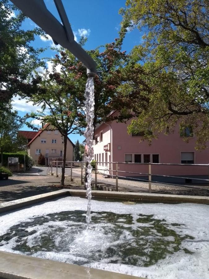 Gasthaus Linde 英格尔芬根 外观 照片